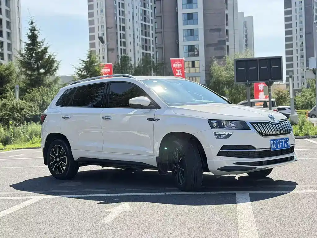 Skoda Karoq фото 3