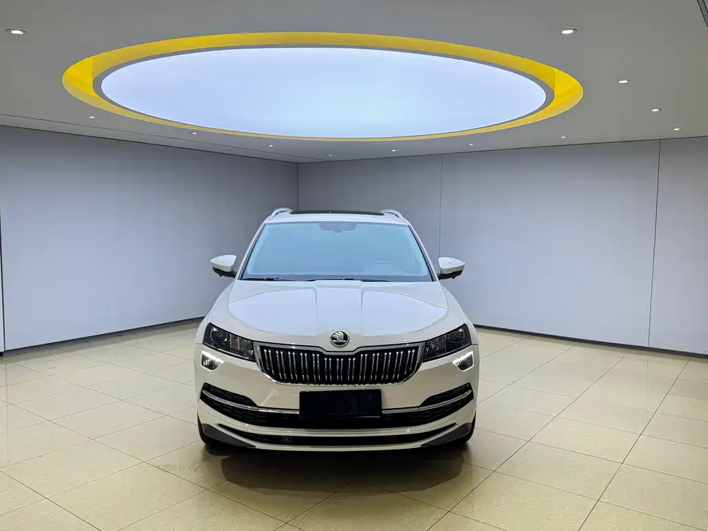 Skoda Karoq фото 2