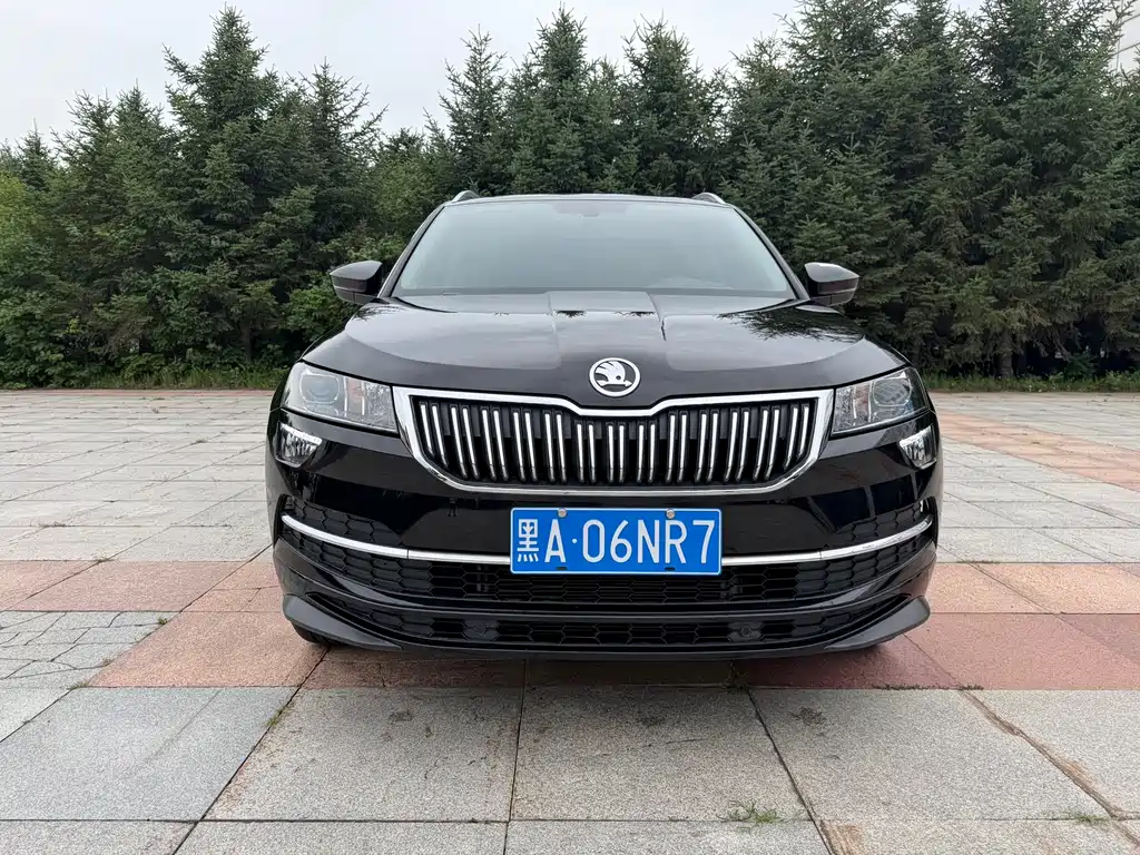 Skoda Karoq фото 2