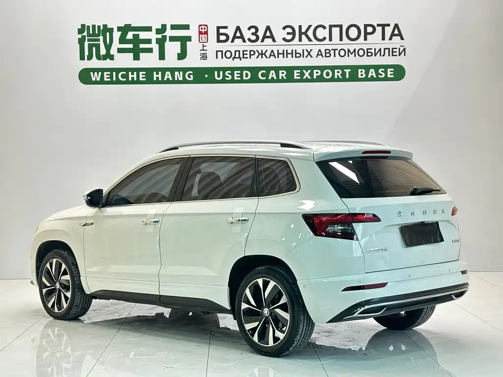 Skoda Karoq фото 6