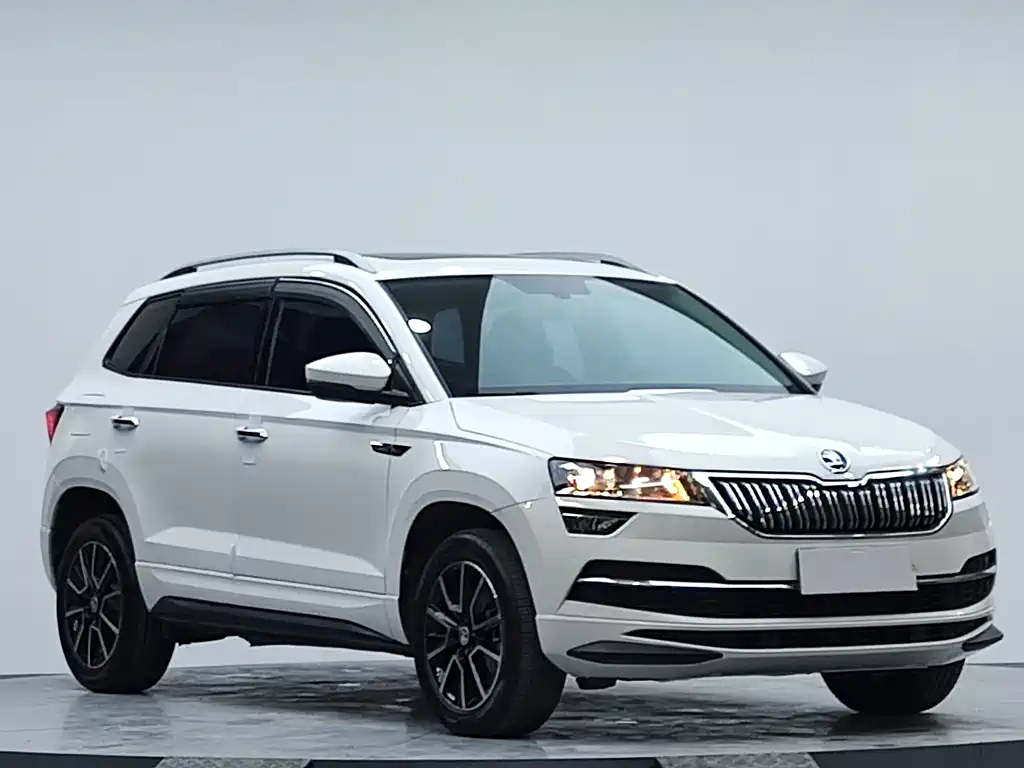 Skoda Karoq фото 3