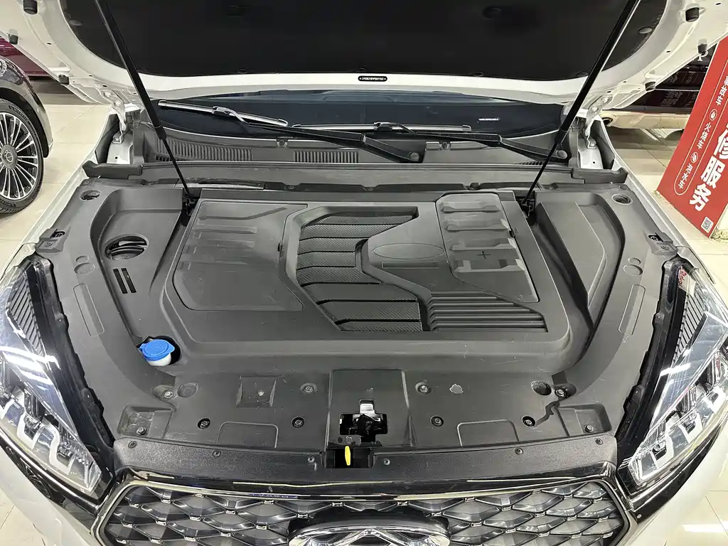 Chery Tiggo 7 PLUS фото 8