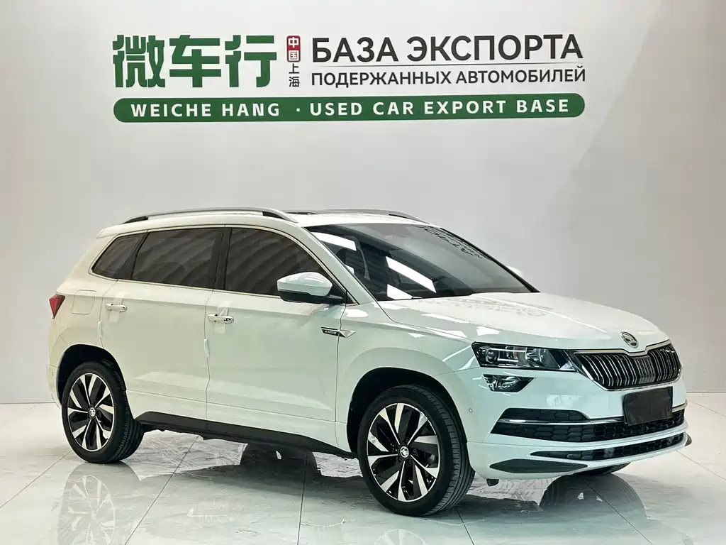 Skoda Karoq фото 3