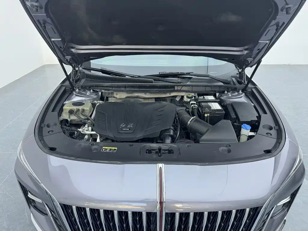 Hongqi H5 фото 9