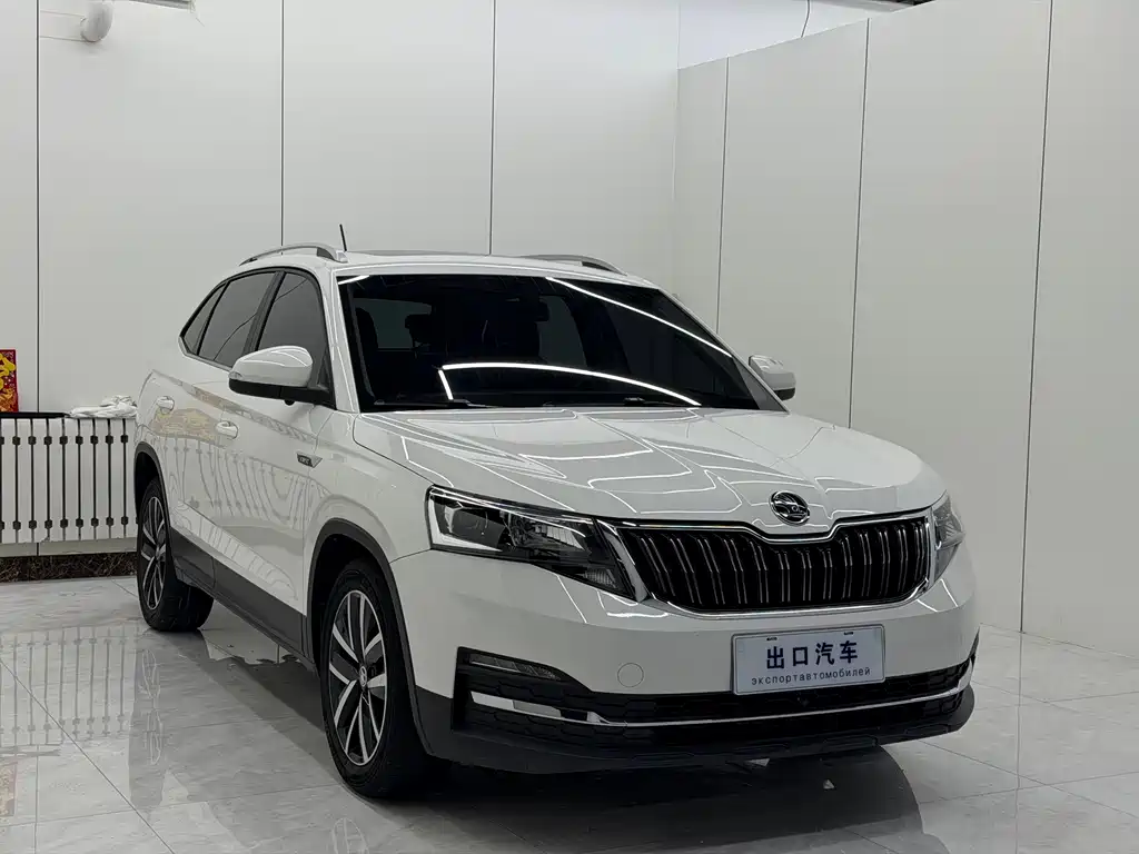 Skoda Kamiq фото 3