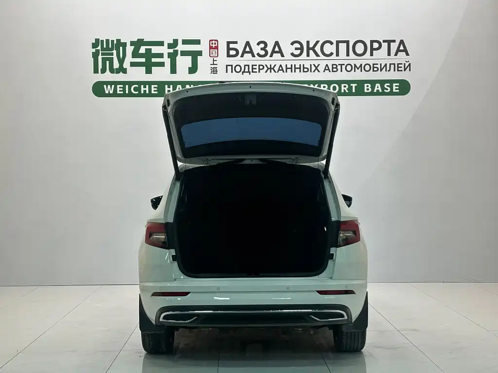 Skoda Karoq фото 7