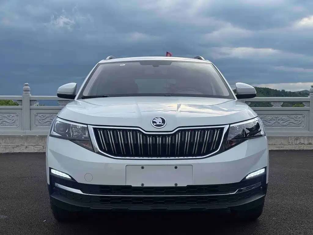 Skoda Kamiq фото 2