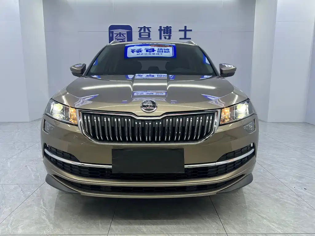 Skoda Karoq фото 2