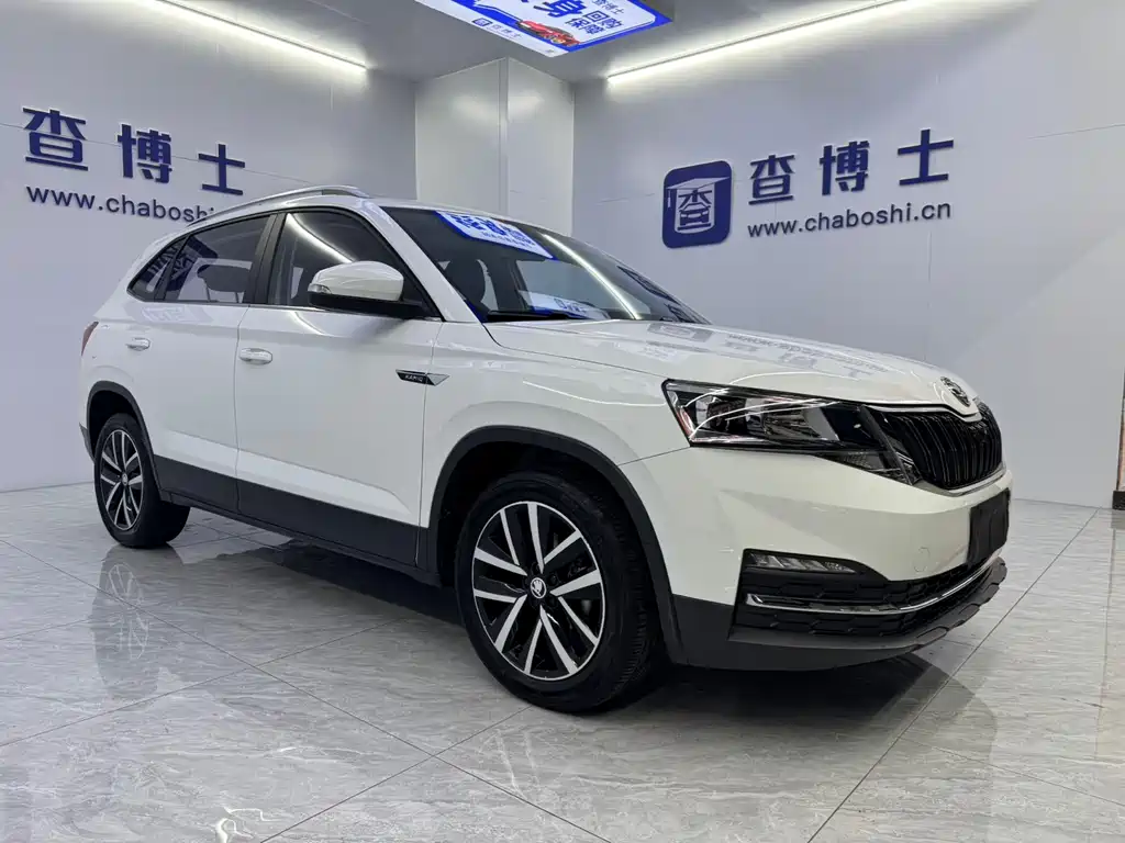 Skoda Kamiq фото 3