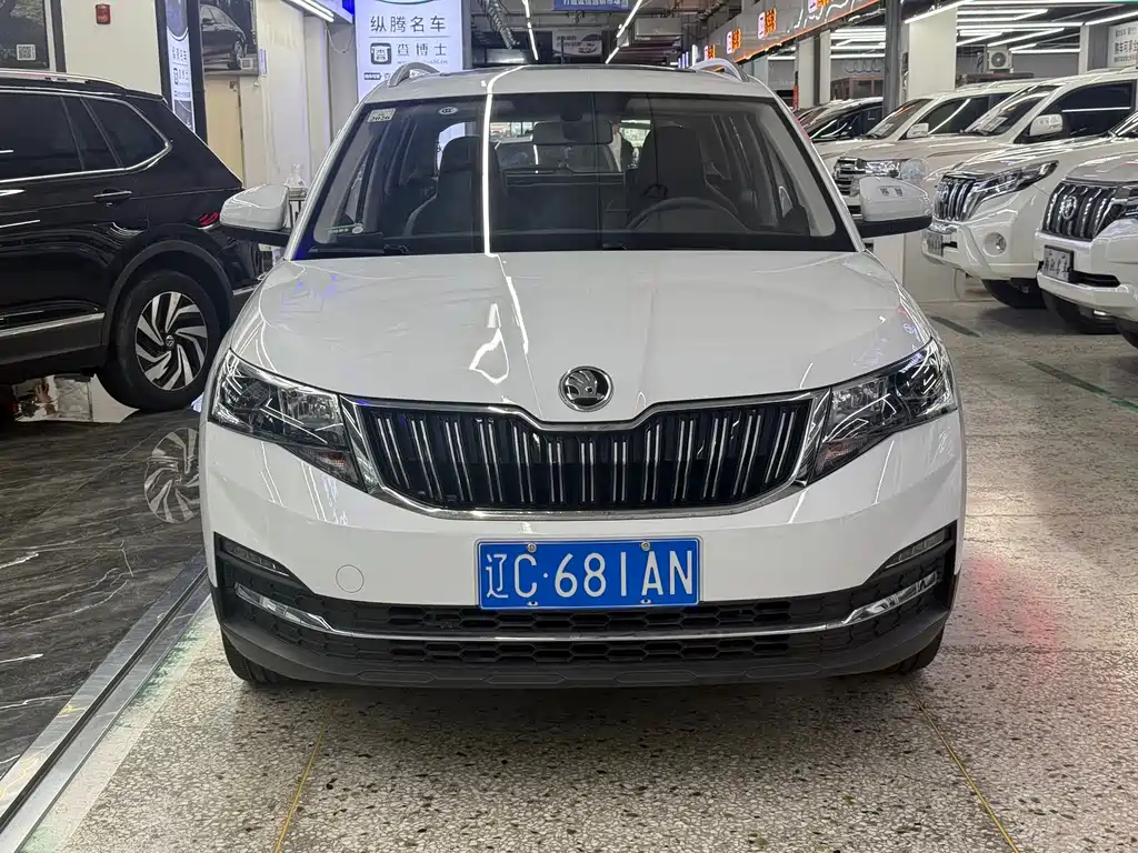 Skoda Kamiq фото 2