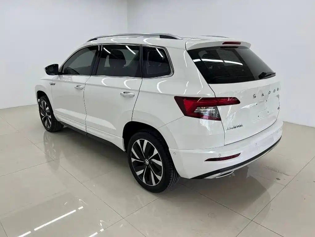 Skoda Karoq фото 6
