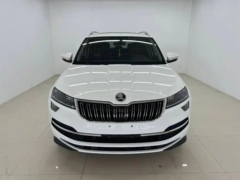 Skoda Karoq фото 2